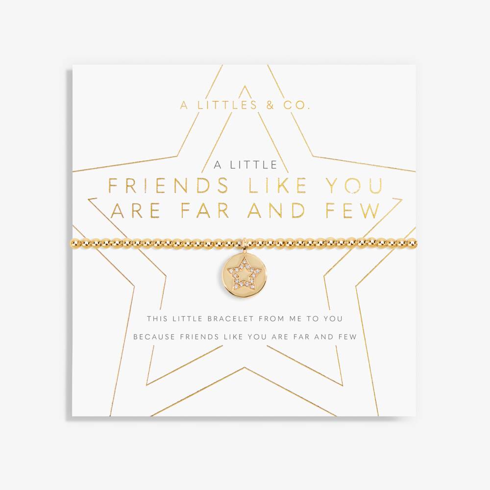 A Little 'Always My Sister, Forever My Friend' Bracelet