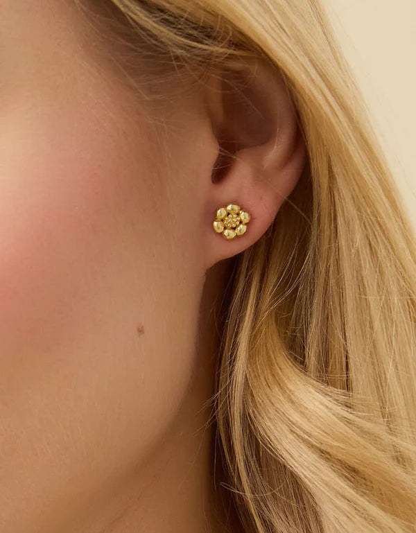 Spartina Louisa Earrings Set Gold