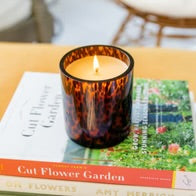 Sweet Grace 064 Tortoise Candle — Accents Boutique, Marble Falls TX