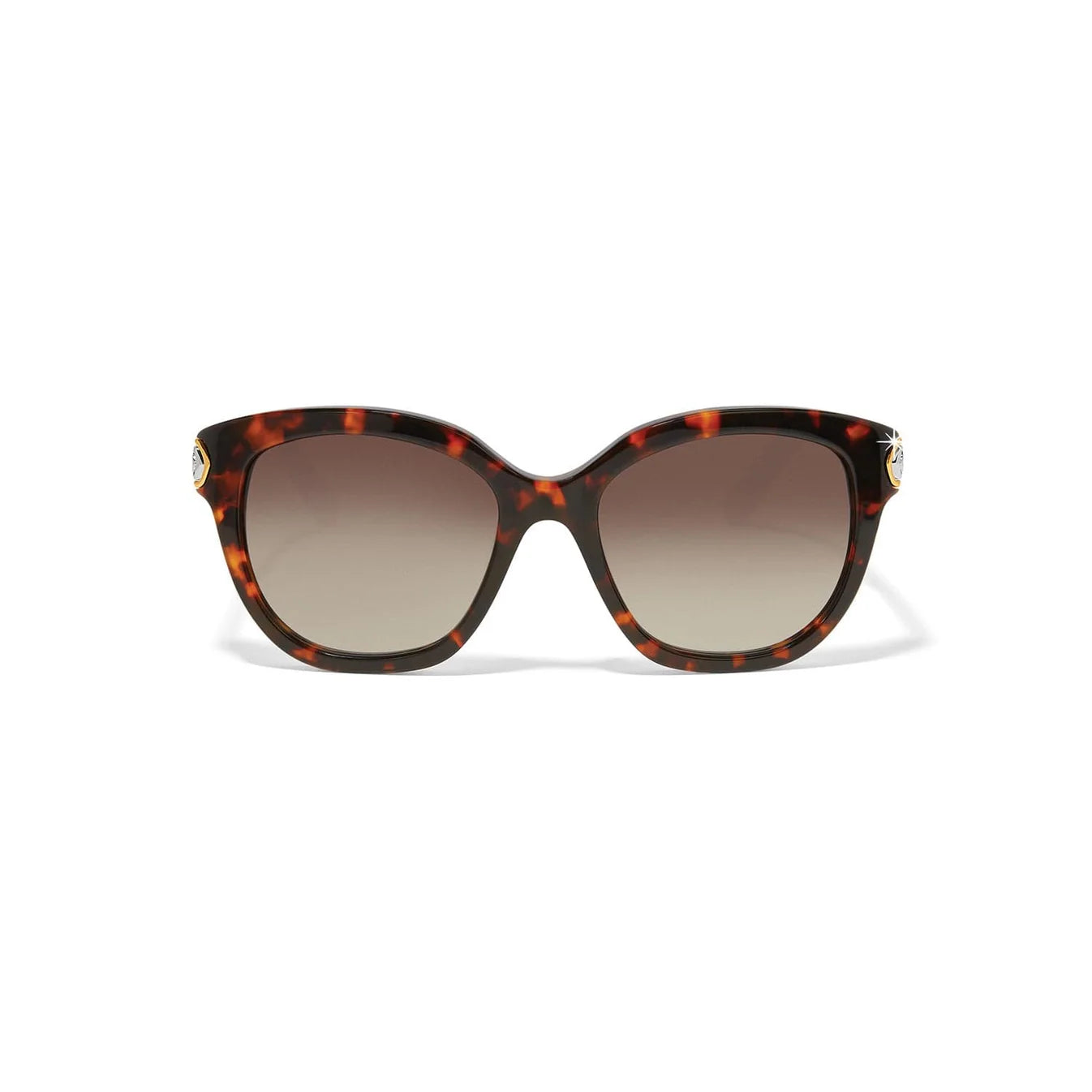 Brighton Tortoise Sunglasses with Intrigue
