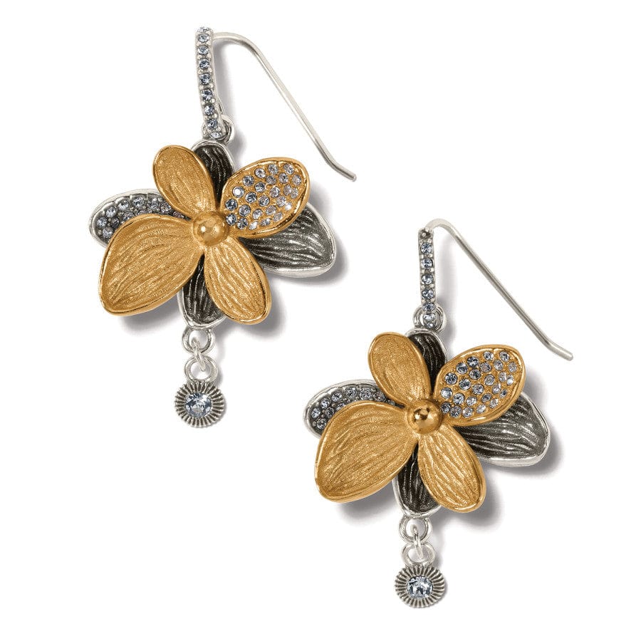 Brighton Everbloom Shine French Wire Earrings — Accents Boutique, Marble Falls TX