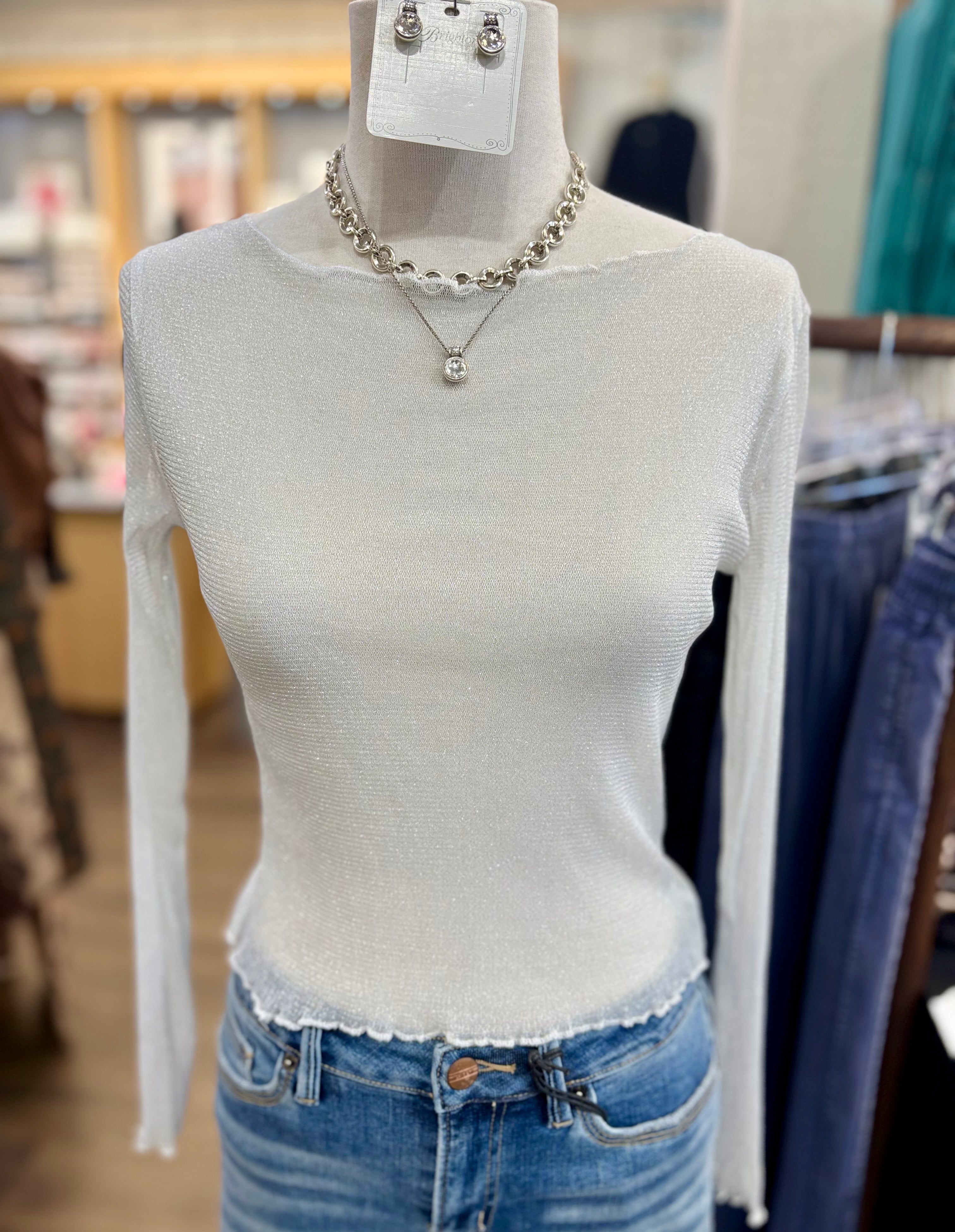 Metallic Mesh Long Sleeve Top
