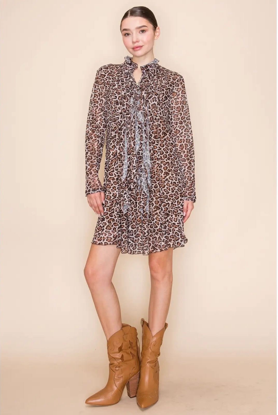 Leopard Mesh Long Sleeve Dress